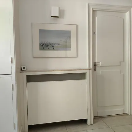 Blue Wave - Free Parking 헤이그