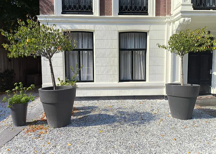 Blue Wave - Free Parking 民宿 海牙